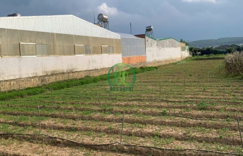 CẦN BÁN 4 LÔ ĐẤT LIỀN KỀ HIỆP THẠNH - LÂM ĐỒNG