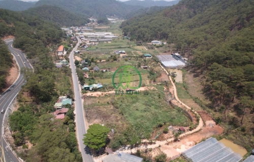 CẦN BÁN ĐẤT MIMOSA, P. XUÂN HƯƠNG (P. 3)