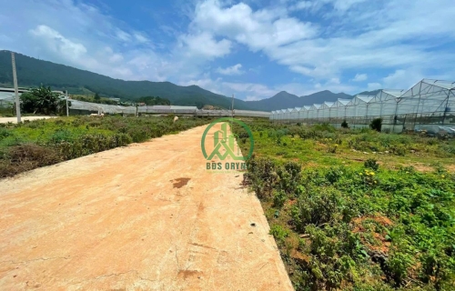 CẦN BÁN LÔ ĐẤT TRUNG TÂM PHƯỜNG LANGBIANG- ĐÀ LẠT (LẠC DƯƠNG)