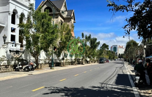 CẦN BÁN ĐẤT PHÙ ĐỔNG THIÊN VƯƠNG - P. LÂM VIÊN- ĐÀ LẠT (P8)