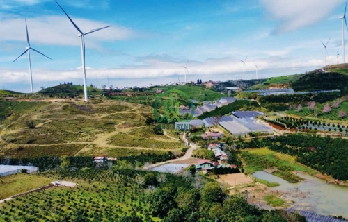 🏡 CẦN BÁN 3 LÔ ĐẤT LIỀN KỀ GẦN ĐỒI CHÈ CẦU ĐẤT, P. XUÂN TRƯỜNG- ĐÀ LẠT