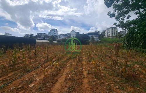 🏡 CẦN BÁN ĐẤT AN BÌNH, PHƯỜNG XUÂN HƯƠNG- ĐÀ LẠT (P. 3)