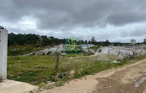 🏡 CẦN BÁN ĐẤT ĐANKIA, P. LANGBIANG- ĐÀ LẠT (P. 7)