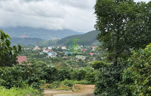 🏡 CẦN BÁN 2 LÔ ĐẤT LIỀN KỀ TẠI NAM BAN, LÂM HÀ (MÊ LINH CŨ)