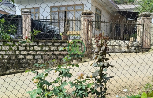 🏡 CẦN BÁN NHÀ ĐẤT MẶT TIỀN LƯƠNG ĐỊNH CỦA – PHƯỜNG XUÂN TRƯỜNG, ĐÀ LẠT 🌿