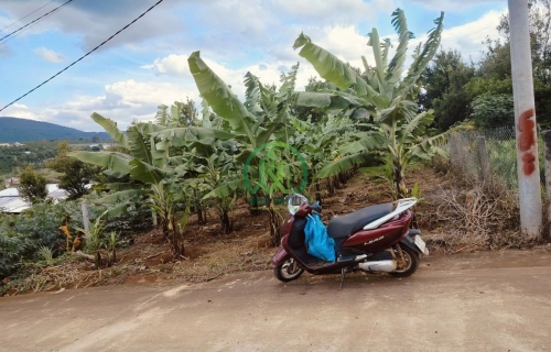 🏡 CẦN BÁN 2 LÔ ĐẤT LIỀN KỀ TẠI NAM BAN, LÂM HÀ