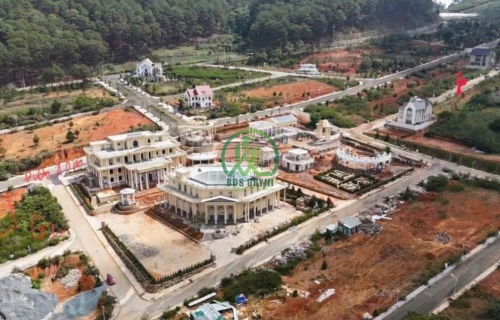 🔥 CHỈ 2,3 TỶ – SỞ HỮU ĐẤT VIEW TOÀN CẢNH LẠC DƯƠNG, SÁT RỪNG THÔNG! 🌲