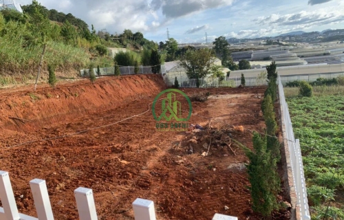 🏡 CẦN BÁN ĐẤT THÁI PHIÊN, P. LÂM VIÊN- ĐÀ LẠT, LÂM ĐỒNG