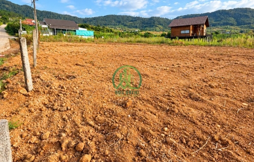 🏡 CẦN BÁN ĐẤT VIEW ĐỒI THÔNG 360 ĐỘ TẠI NAM BAN (ĐÔNG THANH), LÂM HÀ