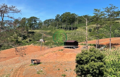 🌟 CẦN BÁN NHÀ ĐẤT XUÂN THỌ, P. XUÂN TRƯỜNG - ĐÀ LẠT