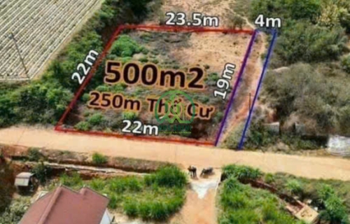 🌟 CẦN BÁN 500M2 ĐẤT XUÂN THỌ, P. XUÂN TRƯỜNG - ĐÀ LẠT