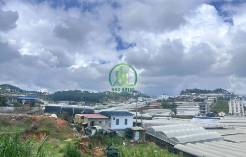 ✨ CẦN BÁN LÔ ĐẤT TẠI PHƯỜNG XUÂN TRƯỜNG - ĐÀ LẠT