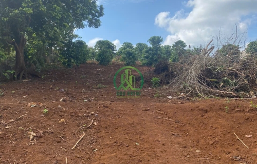 🌟 CẦN BÁN LÔ ĐẤT VIEW SIÊU ĐẸP TẠI NAM BAN - LÂM HÀ