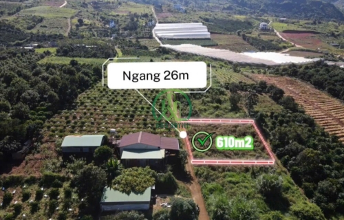 ✨ CẦN BÁN ĐẤT ĐÔNG THANH - LÂM HÀ