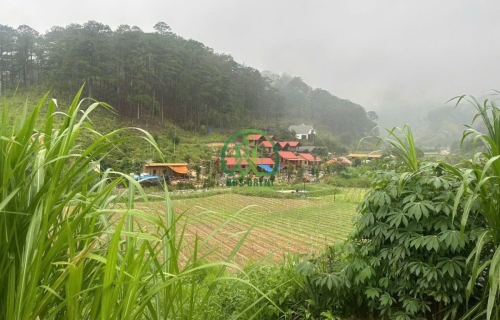 🌟 CẦN BÁN ĐẤT 2 MẶT TIỀN TẠI HIỆP AN - ĐỨC TRỌNG