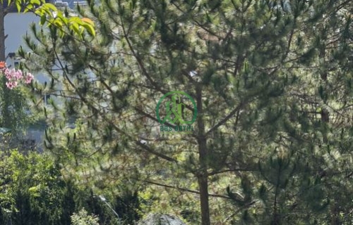 CẦN BÁN 1832m2 ĐÂT CÓ VIEW NGAY CẠNH DINH 1- PHƯỜNG 10- ĐÀ LẠT 