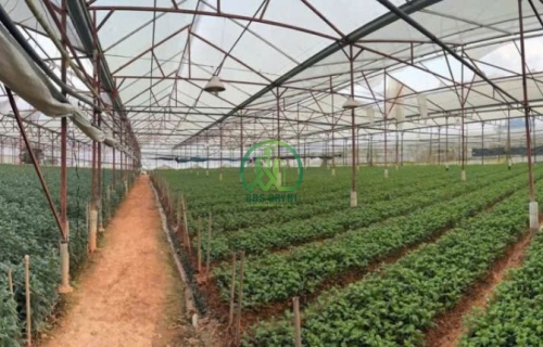 💥 CẦN BÁN ĐẤT MẶT TIỀN TẠI P. LÂM VIÊN - ĐÀ LẠT (P8)