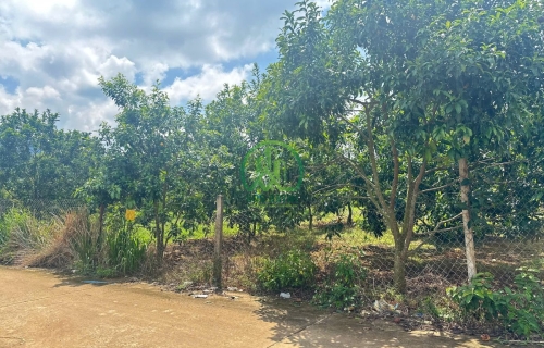 💥 CẦN BÁN ĐẤT BẰNG PHẲNG TẠI MÊ LINH - LÂM HÀ