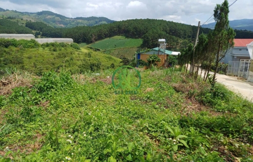 💥 CẦN BÁN ĐẤT ĐẸP TÀ NUNG, P. CAM LY - ĐÀ LẠT