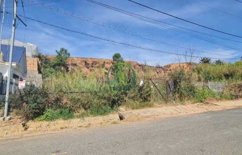 🌤 CẦN BÁN ĐẤT MẶT TIỀN ĐƯỜNG TÔ HIỆU, P. LANGBIANG - ĐÀ LẠT