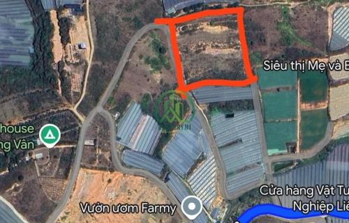 CẦN BÁN 2 LÔ ĐẤT NÔNG NGHIỆP ĐƯỜNG 14/3 - LẠC DƯƠNG