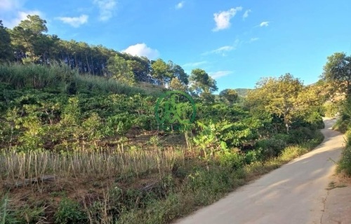 CẦN BÁN ĐẤT 2 MẶT ĐƯỜNG XÃ MÊ LINH - LÂM HÀ