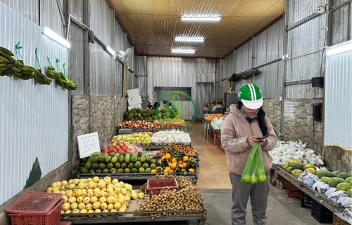 BÁN HOẶC CHO THUÊ NHÀ ĐẤT MẶT TIỀN ĐƯỜNG 3 THÁNG 2 - P1 - ĐÀ LẠT 