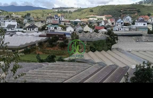 CẦN BÁN LÔ ĐẤT TẠI PHƯỜNG LANGBIANG - ĐÀ LẠT (Lạc Dương cũ)