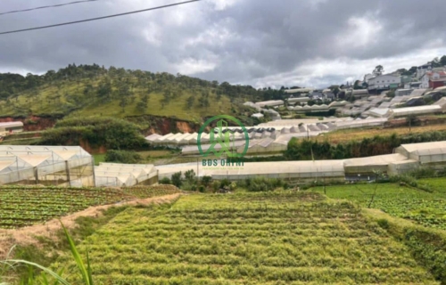 CẦN BÁN LÔ ĐẤT PHƯỜNG LANGBIANG - ĐÀ LẠT (phường 7 cũ)