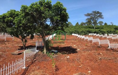 🌤 CẦN BÁN LÔ ĐẤT VIEW ĐẸP TẠI LÂM HÀ - LÂM ĐỒNG 🌤