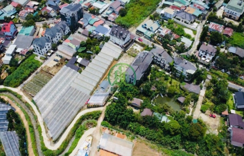 🌤 CẦN BÁN LÔ ĐẤT AN BÌNH - PHƯỜNG XUÂN HƯƠNG - ĐÀ LẠT (P3 cũ)