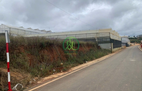 💥 CẦN BÁN ĐẤT MẶT TIỀN ĐƯỜNG NHỰA THÁI PHIÊN, PHƯỜNG LÂM VIÊN - ĐÀ LẠT (P12 cũ)