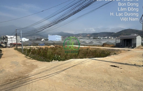 🏡 CẦN BÁN ĐẤT MẶT TIỀN – TRUNG TÂM THỊ TRẤN LẠC DƯƠNG, P.LANGBIANG – ĐÀ LẠT