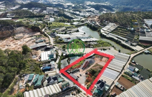 🏡 CẦN BÁN 7.000 M2 ĐẤT ĐƯỜNG LÂM VĂN THẠNH - P. XUÂN TRƯỜNG - ĐÀ LẠT