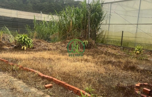 🌤 CẦN BÁN LÔ ĐẤT NÔNG NGHIỆP TẠI P. XUÂN HƯƠNG - ĐÀ LẠT (P10 cũ)