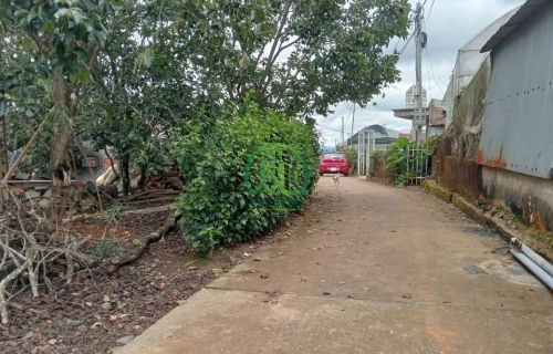 💥 BÁN ĐẤT TẶNG NHÀ 2 MẶT ĐƯỜNG TẠI CẦU ĐẤT, P. XUÂN TRƯỜNG - ĐÀ LẠT