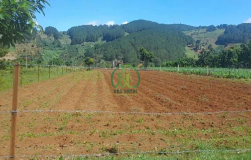 CẦN BÁN LÔ ĐẤT TẠI PHƯỜNG CAM LY - ĐÀ LẠT ( xã Tà Nung cũ)