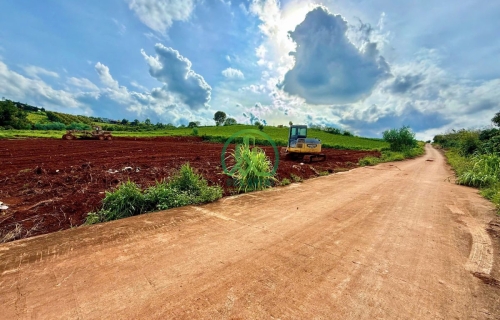 🌟 BÁN NHANH 03 LÔ ĐẤT TẠI NAM BAN - LÂM HÀ