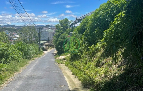 💥 CẦN BÁN ĐẤT ĐƯỜNG MẪU TÂM, P. CAM LY - ĐÀ LẠT (P5)