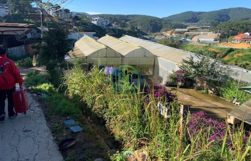 🏡 CẦN BÁN ĐẤT ĐƯỜNG NGÔ THÌ SỸ - P. XUÂN HƯƠNG - ĐÀ LẠT