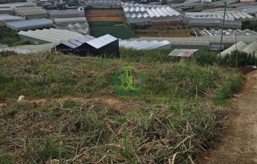 🏡 CẦN BÁN ĐẤT 2 MẶT TIỀN ĐƯỜNG CAO THẮNG- P. LANGBIANG- ĐÀ LẠT