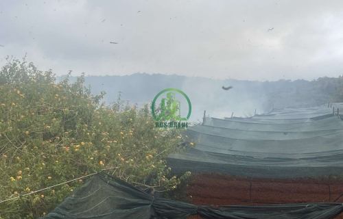 🏡 CẦN BÁN ĐẤT ĐẠ SAR- P.LANGBIANG - ĐÀ LẠT