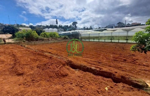 💥 CẦN BÁN LÔ ĐẤT TẠI ĐA THỌ - XÃ XUÂN THỌ 💥