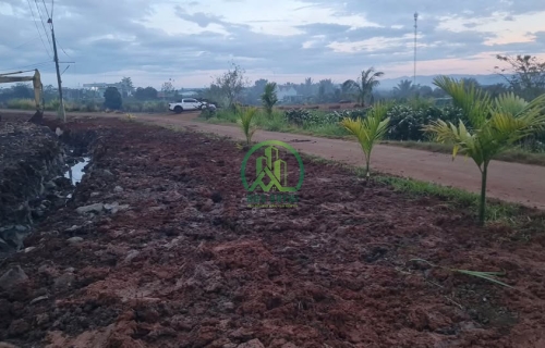 🌟 CẦN BÁN ĐẤT MẶT ĐƯỜNG TẠI ĐAN PHƯỢNG - LÂM HÀ