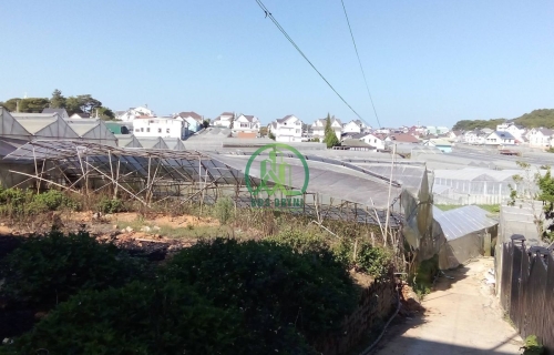 CẦN BÁN 2 LÔ ĐẤT LIỀN KỀ ĐƯỜNG TRẦN ĐẠI NGHĨA, P. LÂM VIÊN - ĐÀ LẠT (P8)