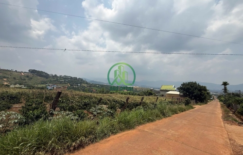 🌟 CẦN BÁN ĐẤT 2 MẶT ĐƯỜNG TẠI THỊ TRẤN NAM BAN - LÂM HÀ