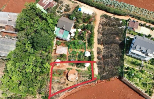 🌤 CẦN BÁN ĐẤT NÔNG NGHIỆP XUÂN THỌ, P. XUÂN TRƯỜNG - ĐÀ LẠT