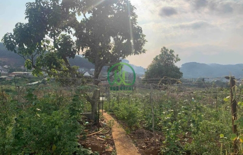 ✨ CẦN BÁN LÔ ĐẤT 2 MẶT ĐƯỜNG TẠI MÊ LINH - LÂM HÀ ✨