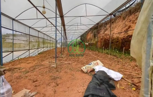 CẦN BÁN HƠN 1.300 M2 ĐẤT ĐƯỜNG HUỲNH TẤN PHÁT, P. XUÂN TRƯỜNG - ĐÀ LẠT (P11)