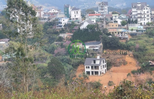 CẦN BÁN HƠN 8.000 M2 ĐẤT ĐƯỜNG KHE SANH, P. XUÂN HƯƠNG - ĐÀ LẠT (P10)